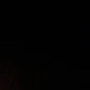 Meet your Posher, Evie